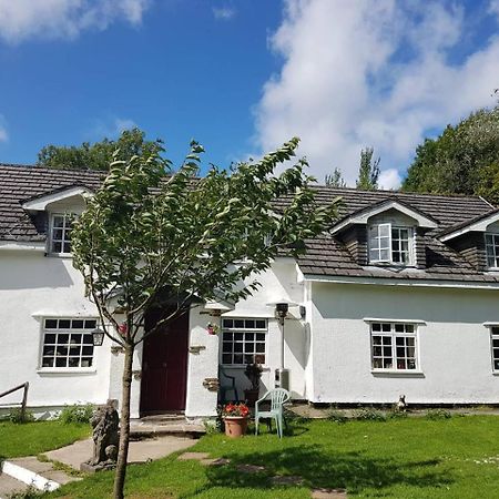 Coynant Farm Guesthouse - Farm Park Stay 斯旺西 外观 照片