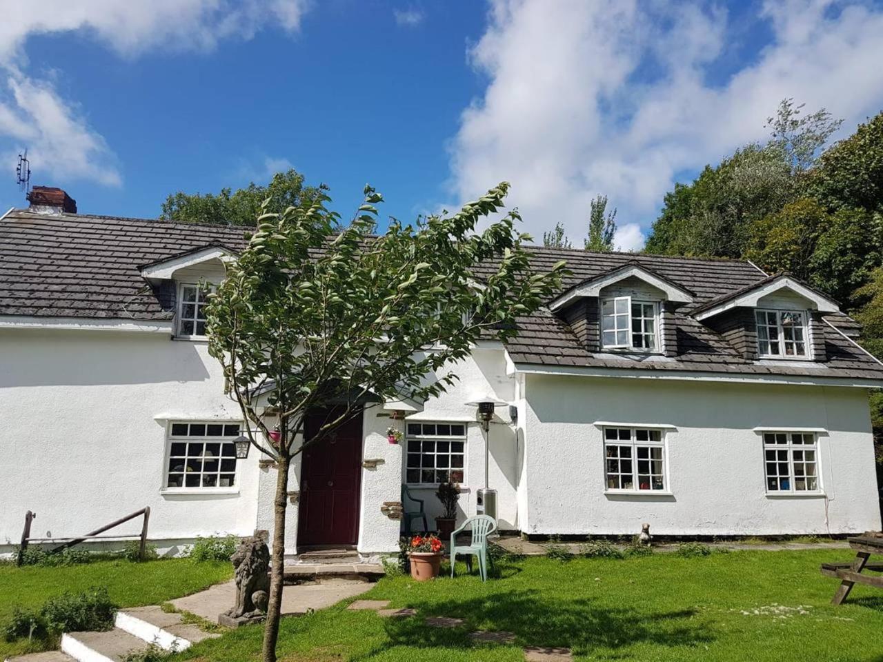 Coynant Farm Guesthouse - Farm Park Stay 斯旺西 外观 照片